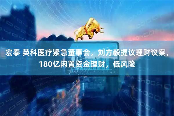 宏泰 英科医疗紧急董事会，刘方毅提议理财议案，180亿闲置资金理财，低风险