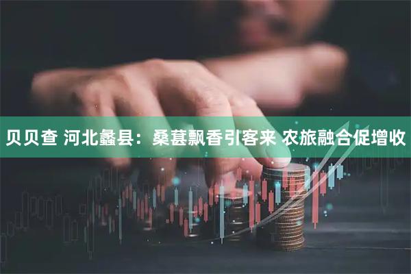 贝贝查 河北蠡县：桑葚飘香引客来 农旅融合促增收